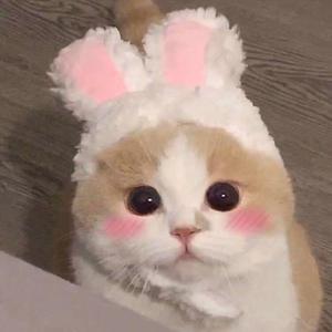 久久在热视频精品
